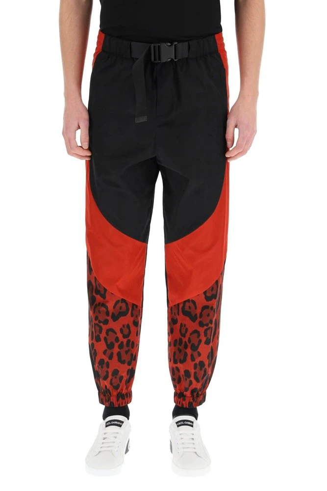 ( New Season ) Dolce & Gabbana Belted Waist Leopard Printed Trousers - Multi 2 ( New Season ) Dolce & Gabbana Belted Waist Leopard Printed Trousers - Multi - Image 2