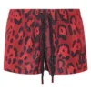 ( New Season ) Dolce & Gabbana Leopard Printed Swim Shorts - Multi