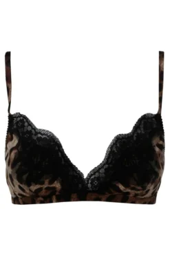 ( New Season ) Dolce & Gabbana Leopard Printed Lace Trimmed Bra - Multi