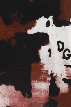 Dolce & Gabbana Camouflage Print T-Shirt - Multi -Cheap Vestureo Store 1624600778350 954drbcokAud2WAa3