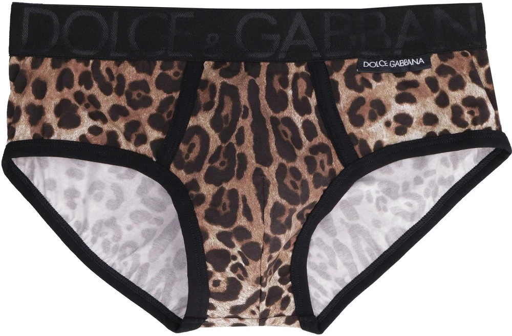 Dolce & Gabbana Leopard Printed Briefs - Multi 1 Dolce & Gabbana Leopard Printed Briefs - Multi