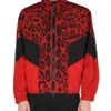 ( New Season ) Dolce & Gabbana High Neck Leopard Printed Jacket - Multi