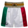 ( New Season ) Dolce & Gabbana DG Patch Satin Shorts - Multi