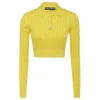 ( New Season ) Dolce & Gabbana DG Logo Ribbed Polo Shirt - Yellow