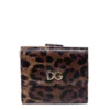 Dolce & Gabbana Leopard Print Small Flap Wallet - Brown