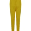 ( New Season ) Dolce & Gabbana Buttoned Tailored Trousers - Yellow