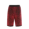 ( New Season ) Dolce & Gabbana Logo Band Printed Bermuda Shorts - Multi