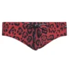 ( New Season ) Dolce & Gabbana Leopard-Printed Swim Briefs - Multi