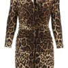 Dolce & Gabbana Leopard Print Ruched Dress - Multi