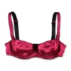( New Season ) Dolce & Gabbana Balconette Bra - Red