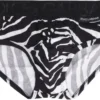 Dolce & Gabbana Zebra Printed Briefs - Multi