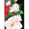 ( New Season ) Dolce & Gabbana Floral Printed Scarf - Multi