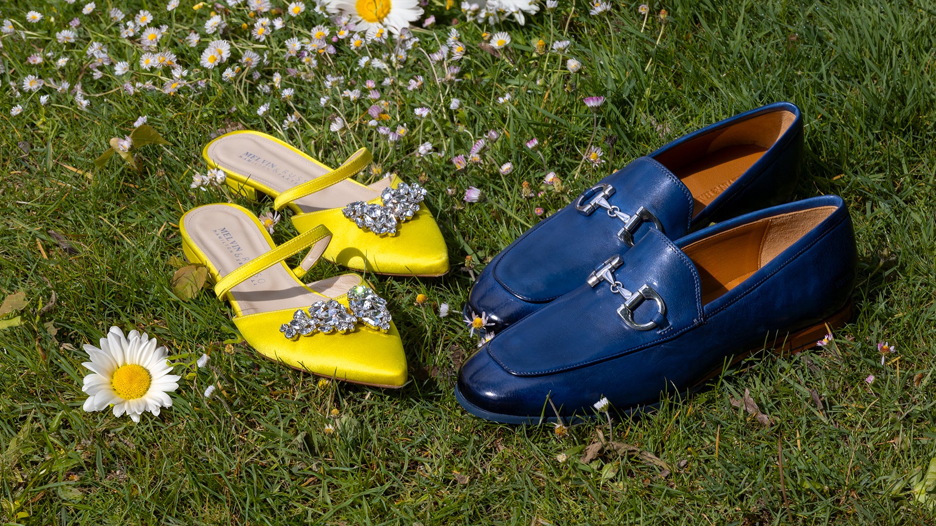 Cheap Vestureo Store -Cheap Vestureo Store Clive 1 Daphne 1 header